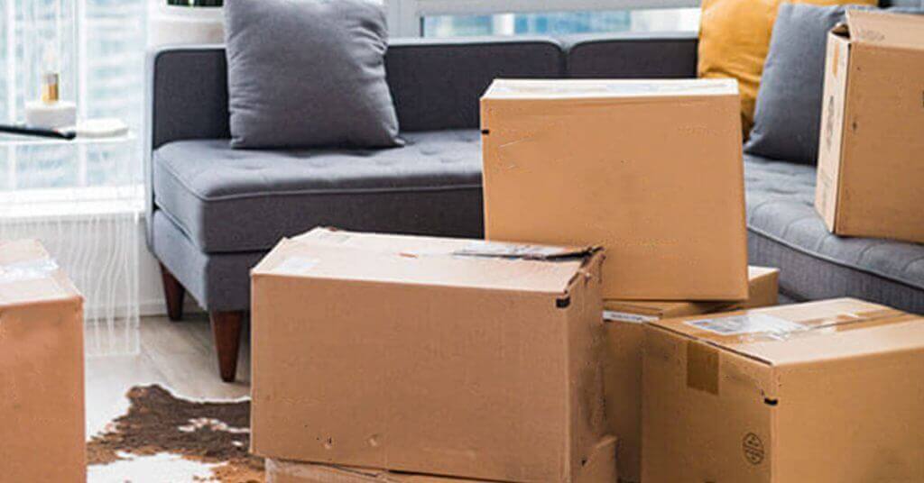 Services: Settling In