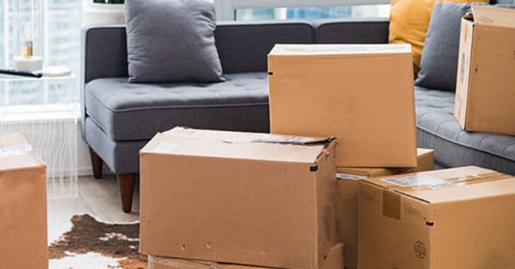 Settling Into Your New Home 2 Services: Settling In