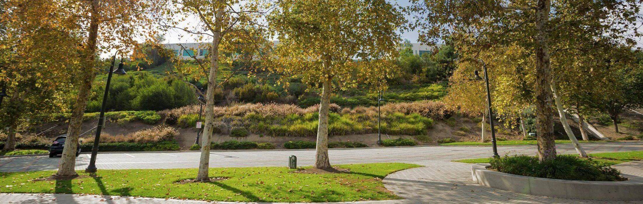 Aliso Viejo's Incredible Senior Moving Experts