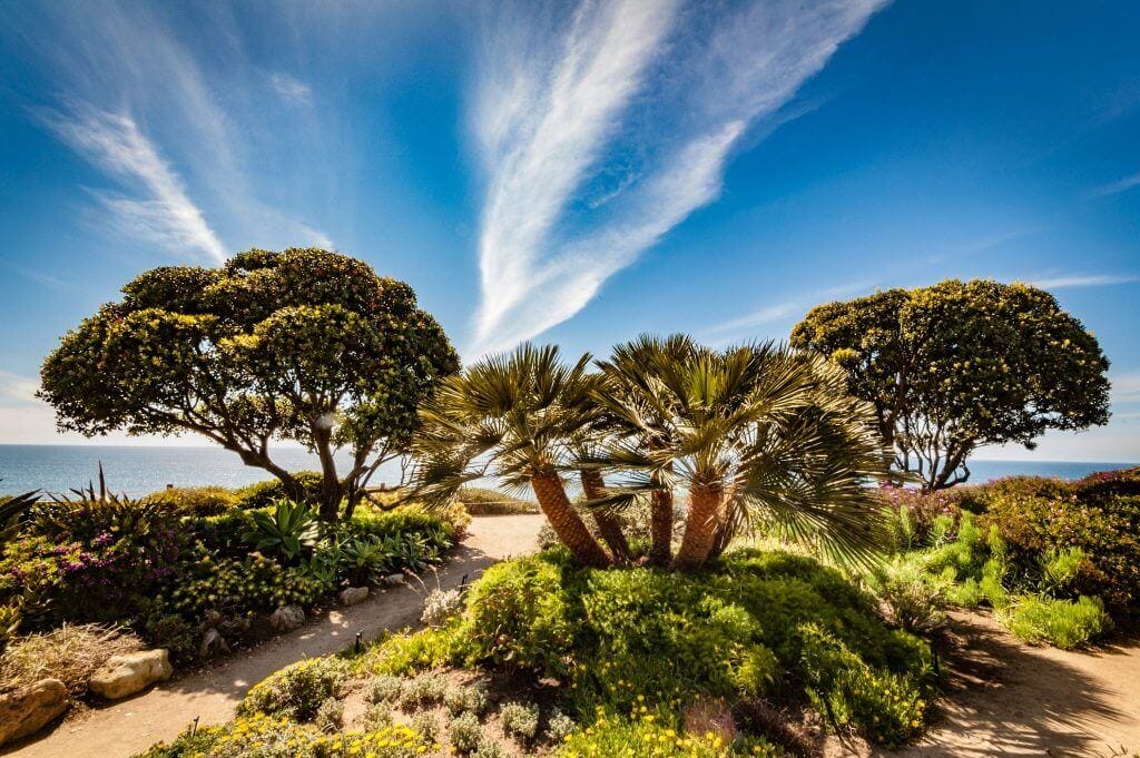 Encinitas Senior Moving Experts 2 The beach Encinitas, California