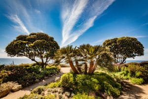 The beach Encinitas, California