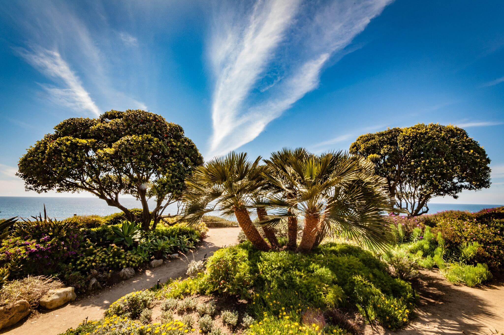 Encinitas Senior Moving Experts Senior Moving Experts