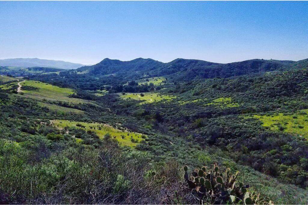 The Best Senior Movers in Coto de Caza 7 Coto De Caza Senior Moving Company